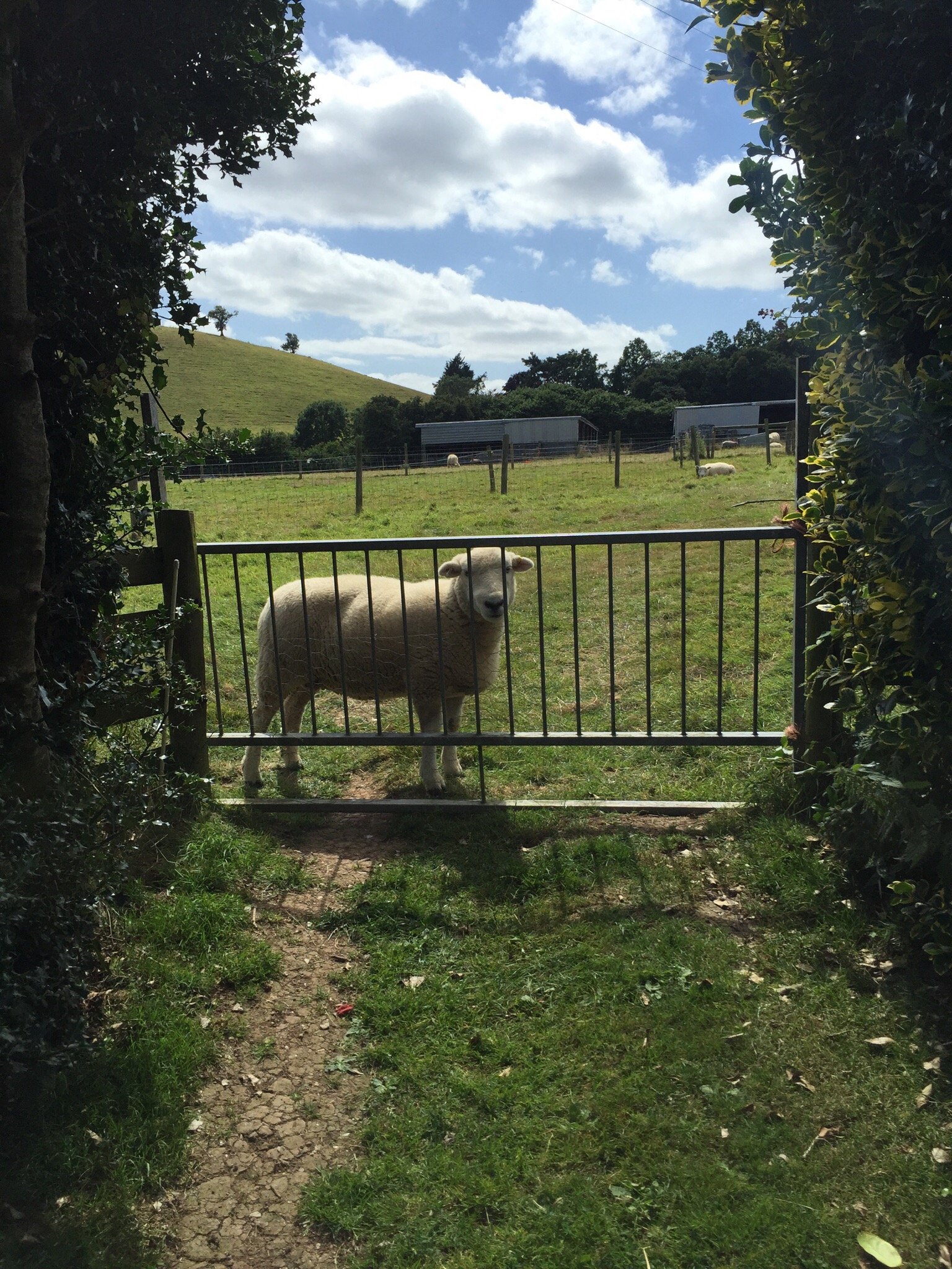 Bulleigh Park Farm-酒店景观