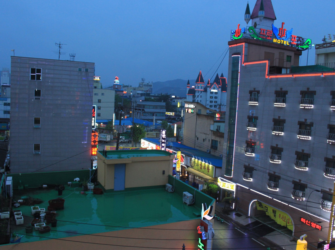 公州市酒店住宿-Geumgang Tourist Hotel