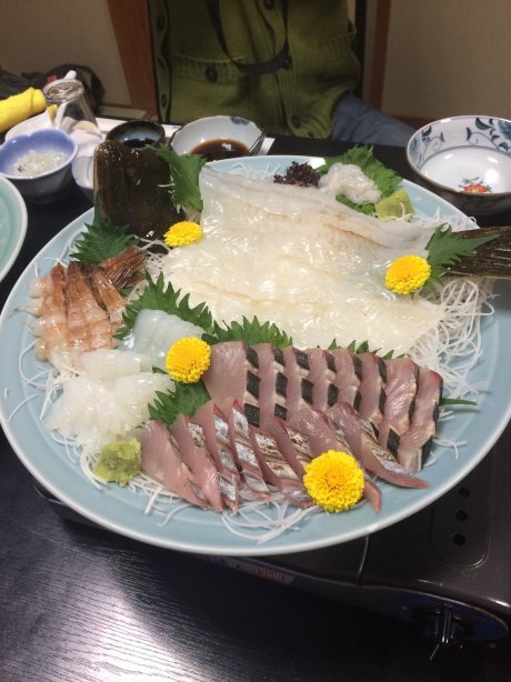 渔场之宿 Hattori-官方