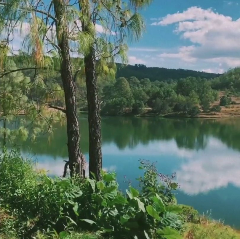 Cabañas Jardines del Lago