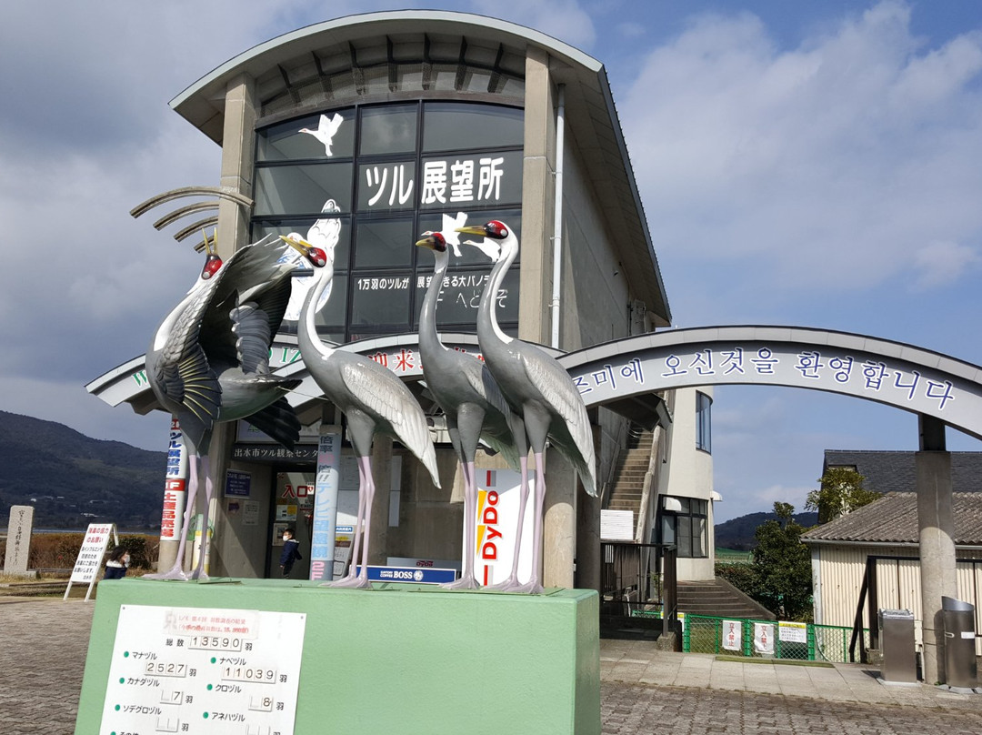 鹿儿岛县旅游景点-Izumi City Crane Center