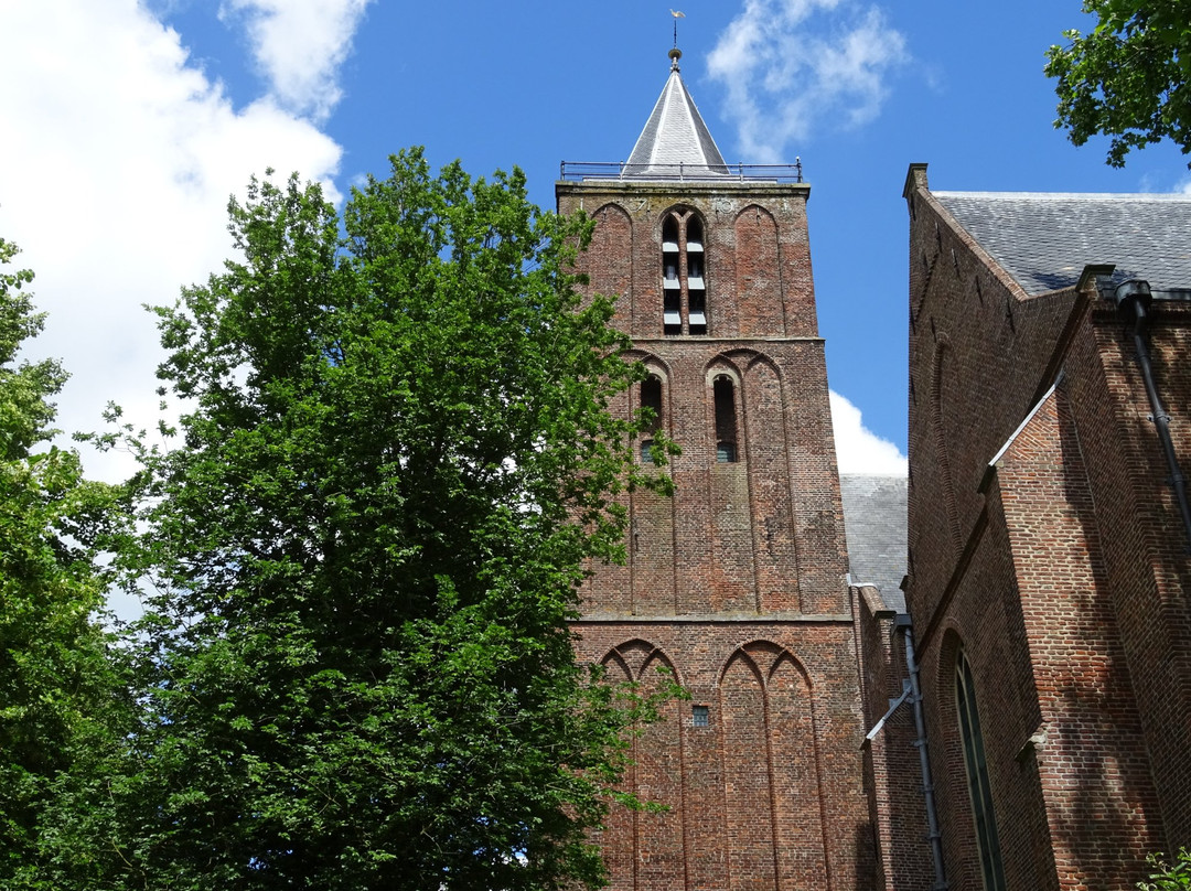 Grote Kerk景点图片