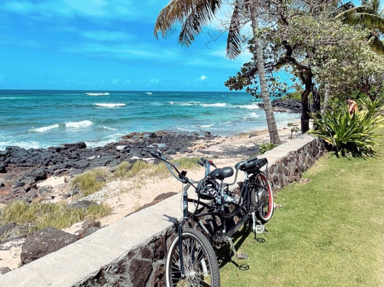 Pedego Electric Bikes Poipu-坡伊普必去景点