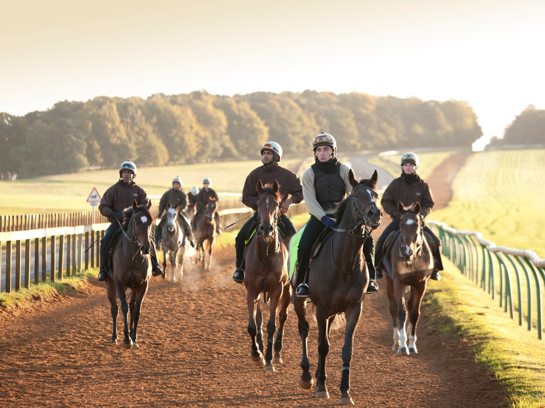 Discover Newmarket Tours-纽马克特必去景点