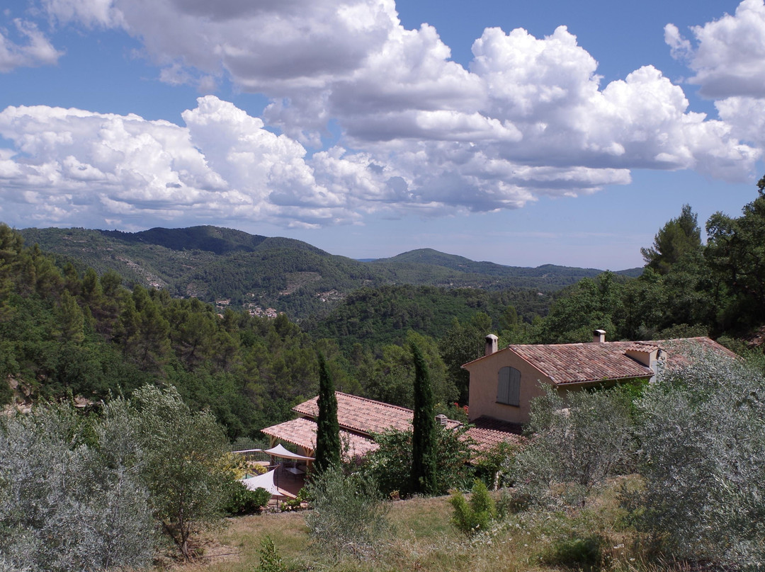 Belgentier旅游景点-Olives-en-Provence