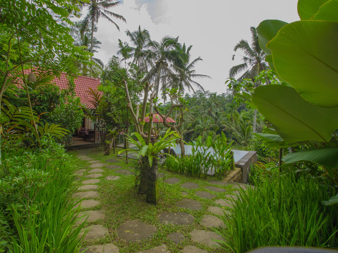 Sebatu Tulen Villa主图