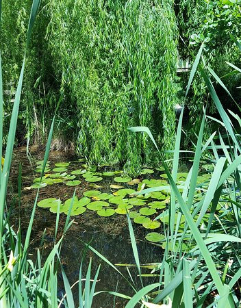 Parco Falcone E Borsellino景点图片