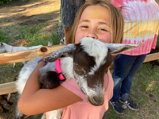 Summerhill Adventures-Park Rapids必去景点