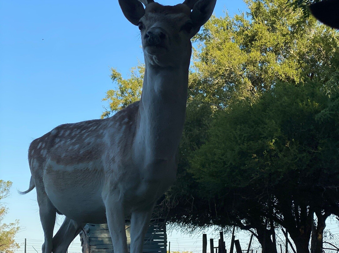 La India - Somos Naturaleza-Florida必去景点