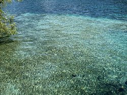 Ile Rousseau-日内瓦必去景点