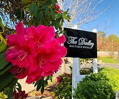 The Dudley Boutique Hotel主图