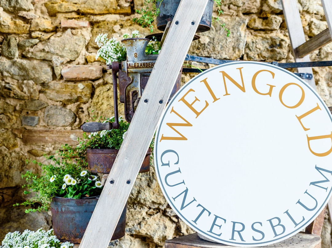 Landhotel Weingold Guntersblum主图