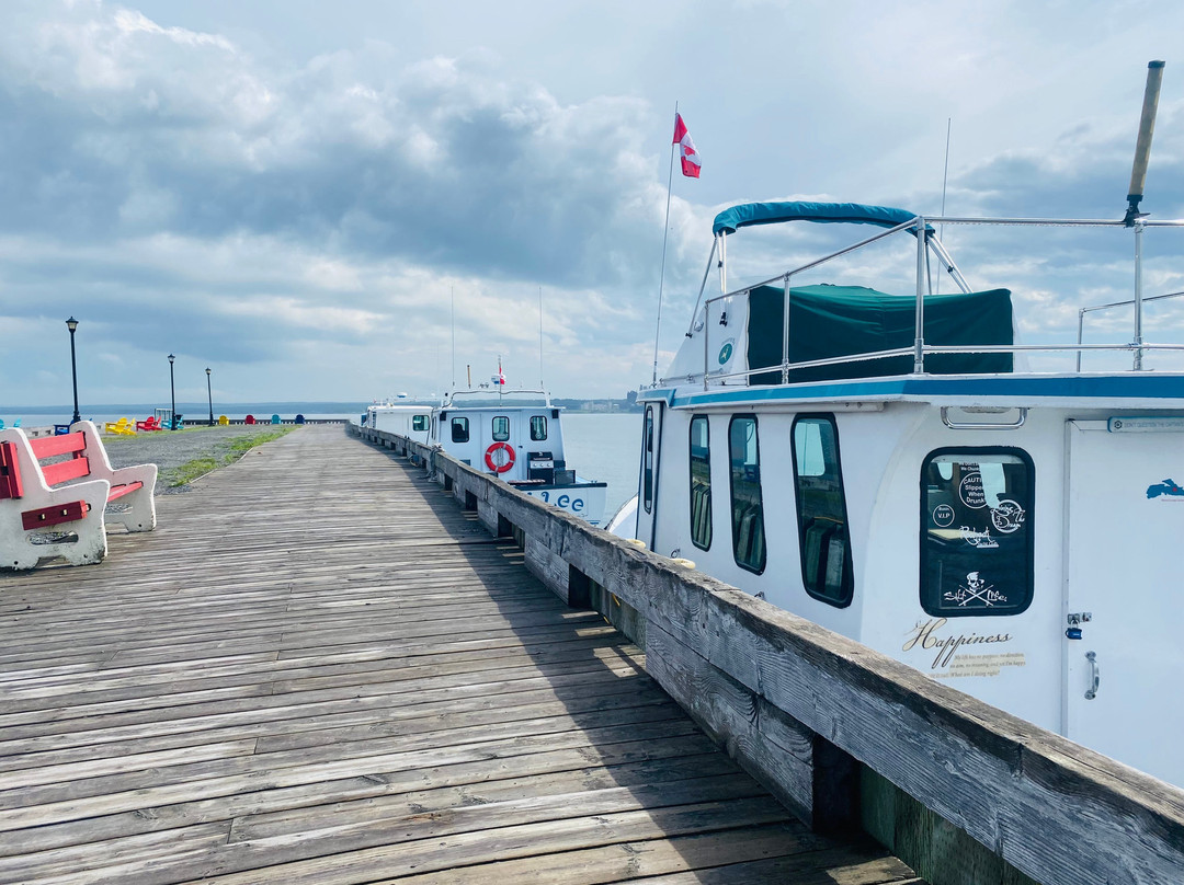 Hector Quay Visitors Marina