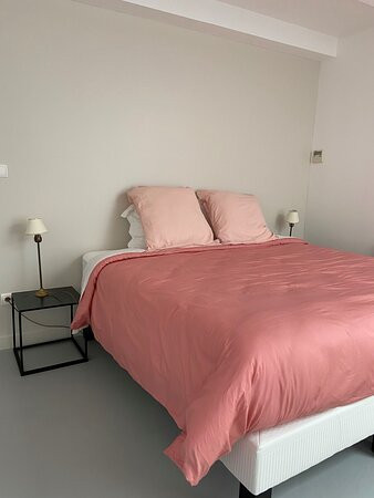 Hôtel de France主图