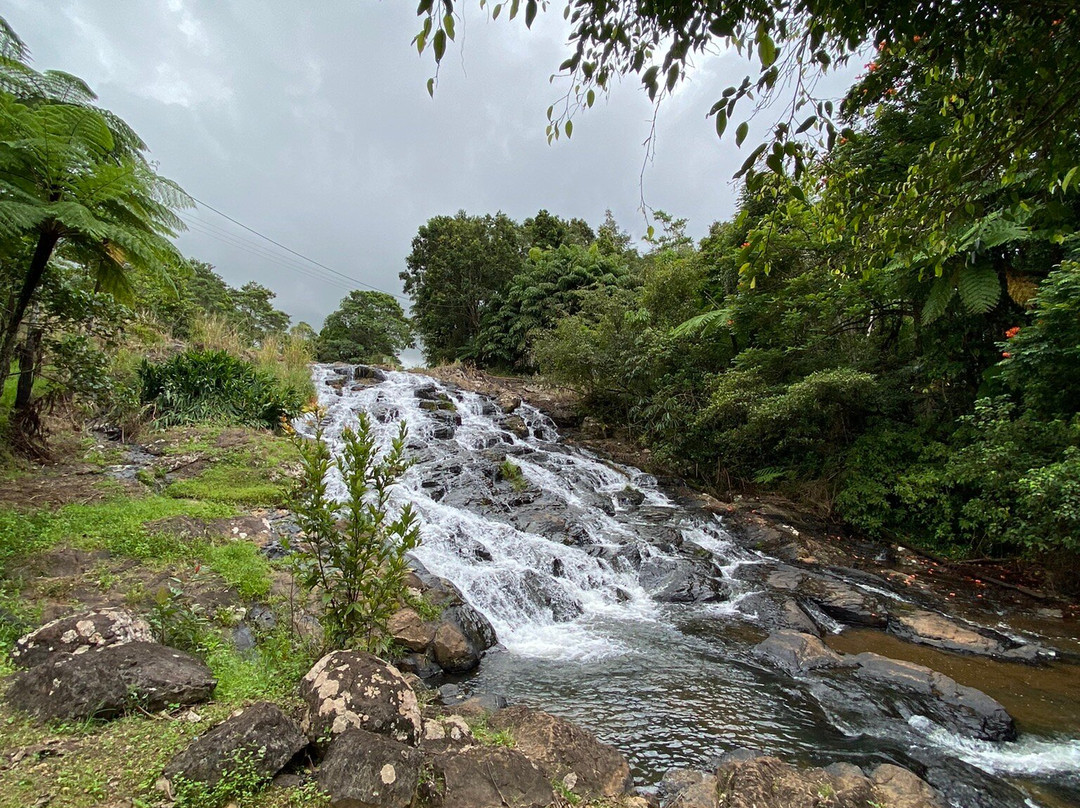 Mungalli Falls景点图片