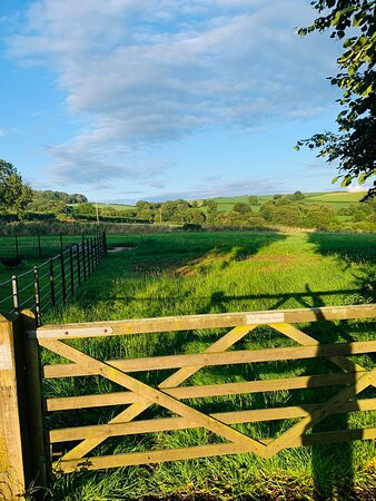Laverstock Farm主图