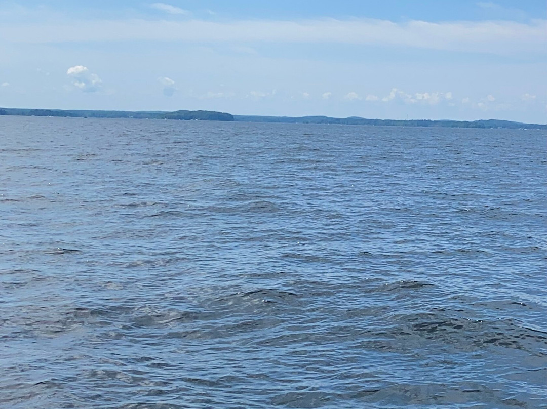 Sacandaga Boat Charters景点图片