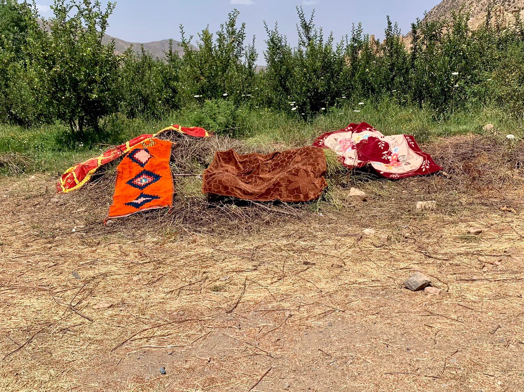 Flilou la Maison Berbere - Hostel主图