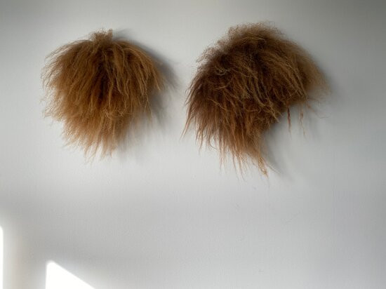 Hofsstadir - Country Hotel主图