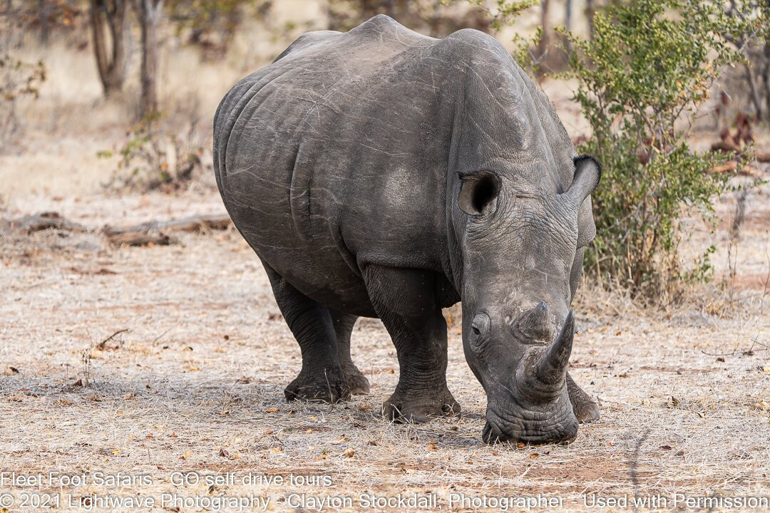 Fleet Foot Safaris-Brenton-on-Sea必去景点