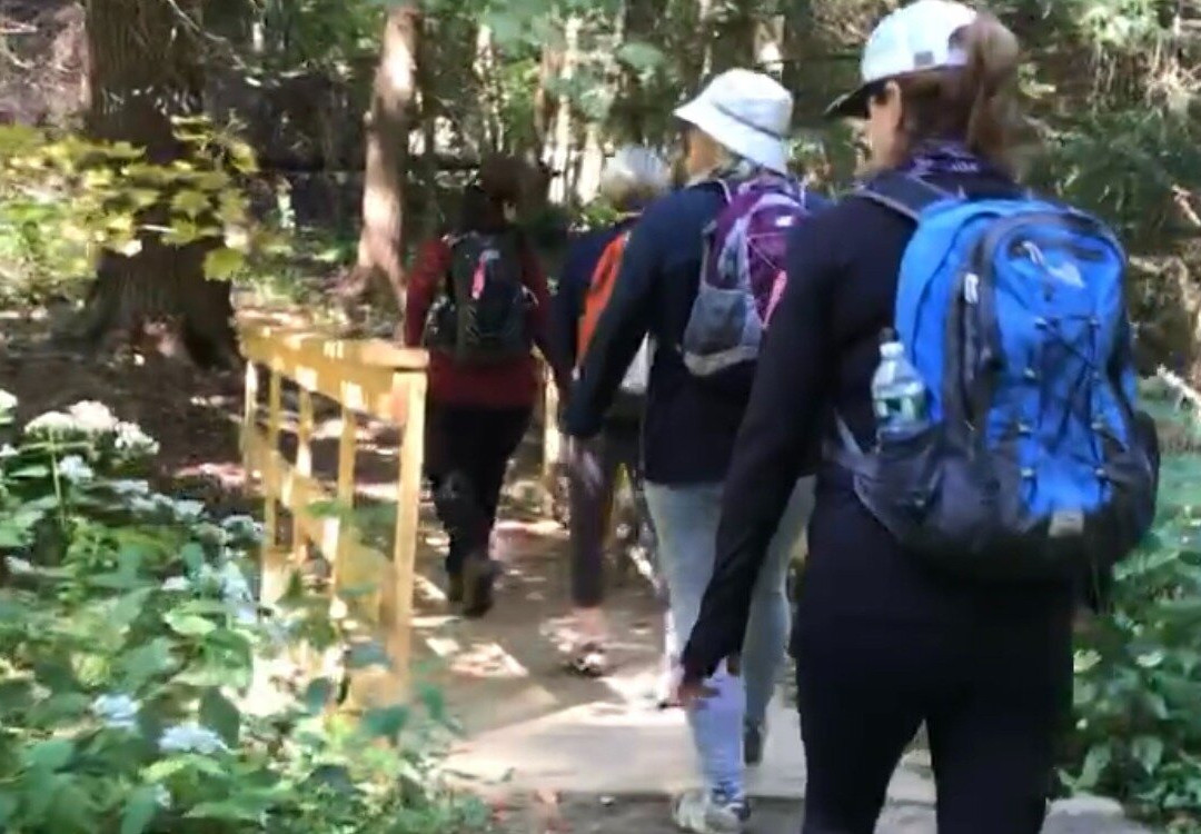 Berkshire Camino Guided Hikes