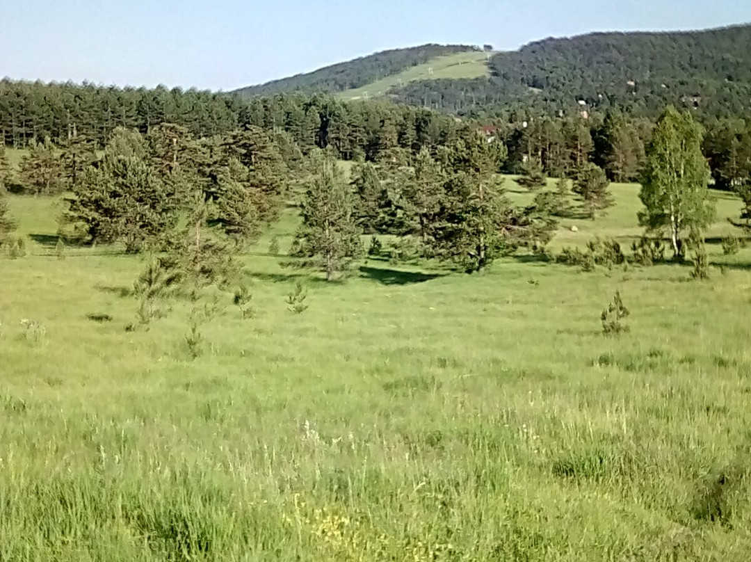 Vila Premijer Divčibare