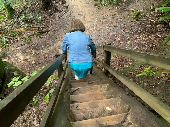 Big South Fork National River & Recreation Area景点图片