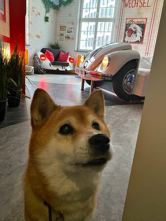 V8 Hotel Motorworld Region Stuttgart, BW Premier Collection主图