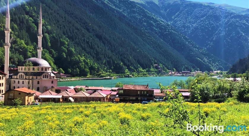 Ilhan套房酒店主图