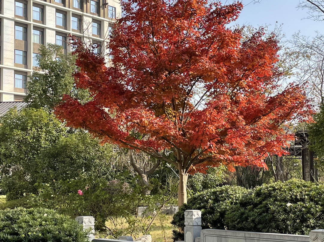 Pullman Hefei Sunac主图