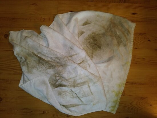 The Boulder Creek Lodge主图