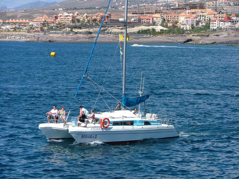 Bonadea Ii Eco Whale Watching-特内里费岛必去景点