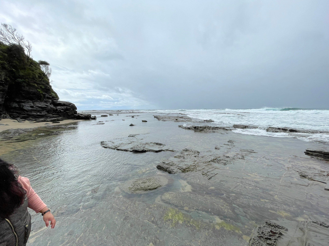Shelly Beach - Apollo Bay