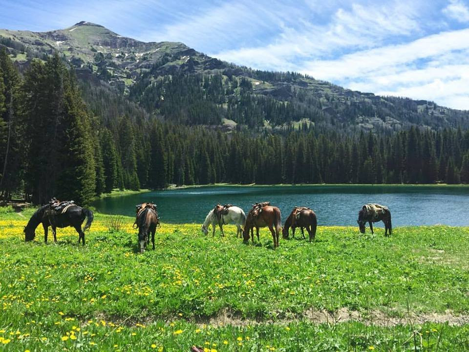Covered Wagon Ranch