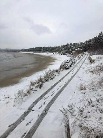 El Dorado Resort主图