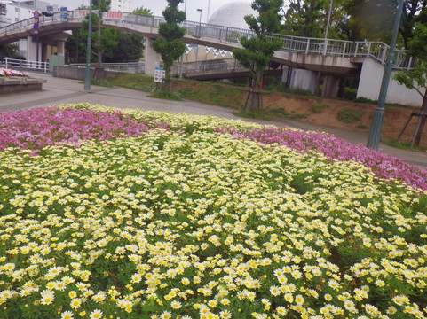 Shonandai Park-藤泽市必去景点