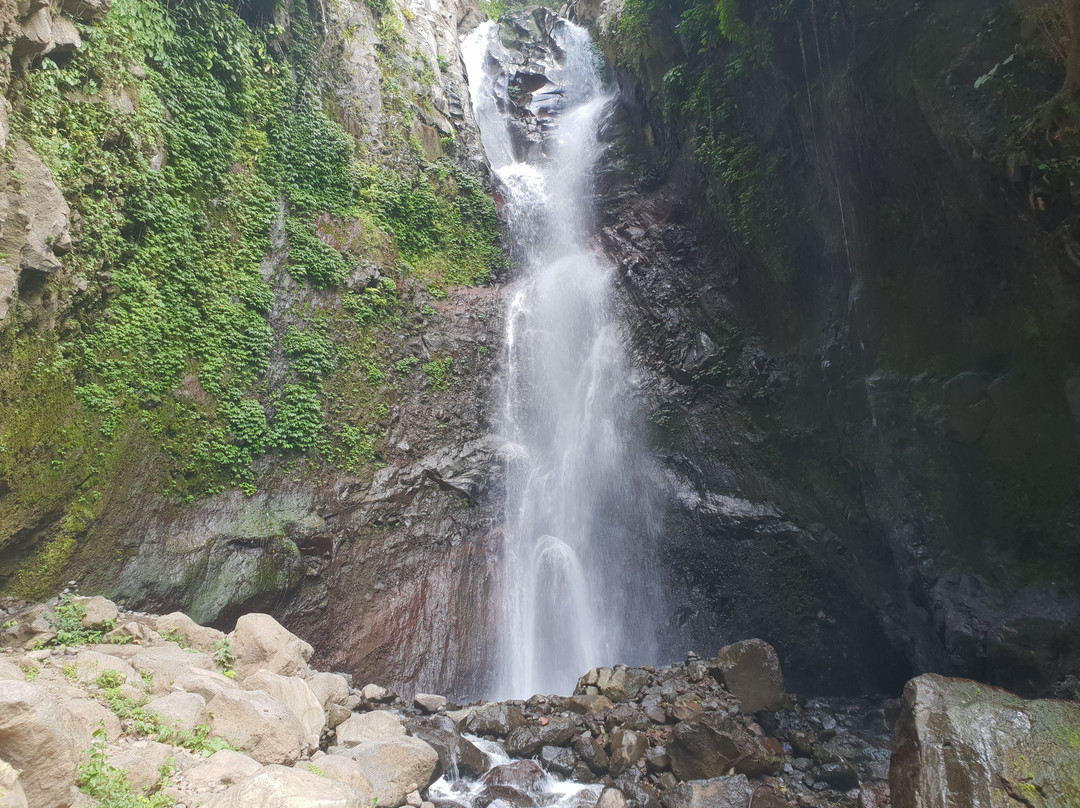 Bondalem旅游攻略图片