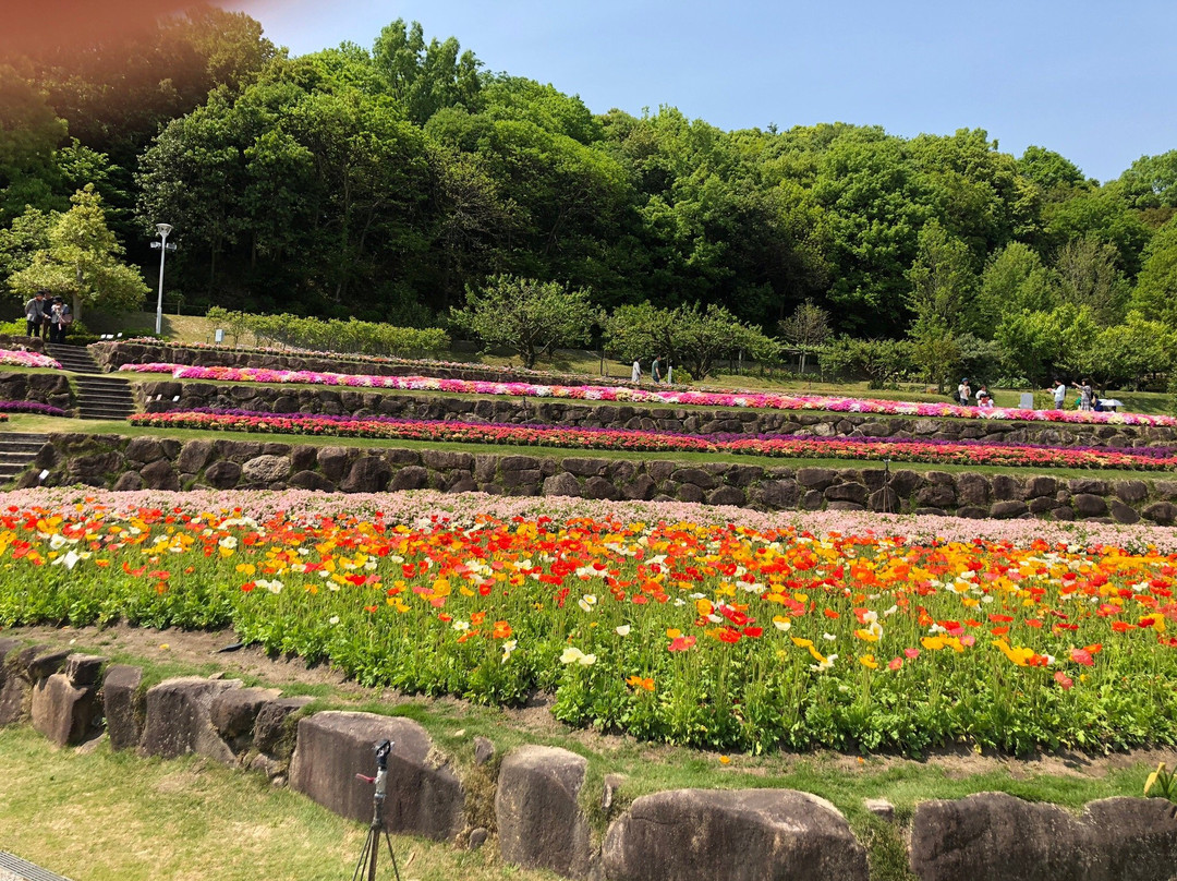 Yamaguchi Flower Land景点图片