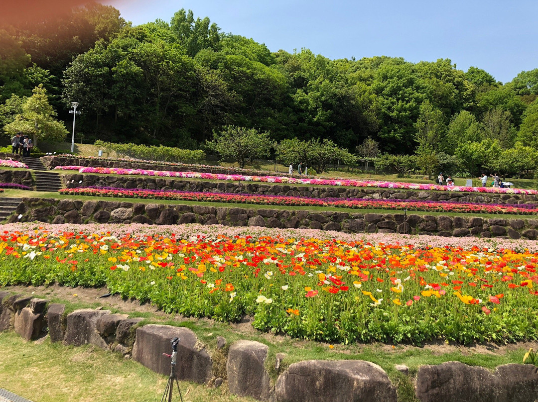 柳井市旅游攻略图片