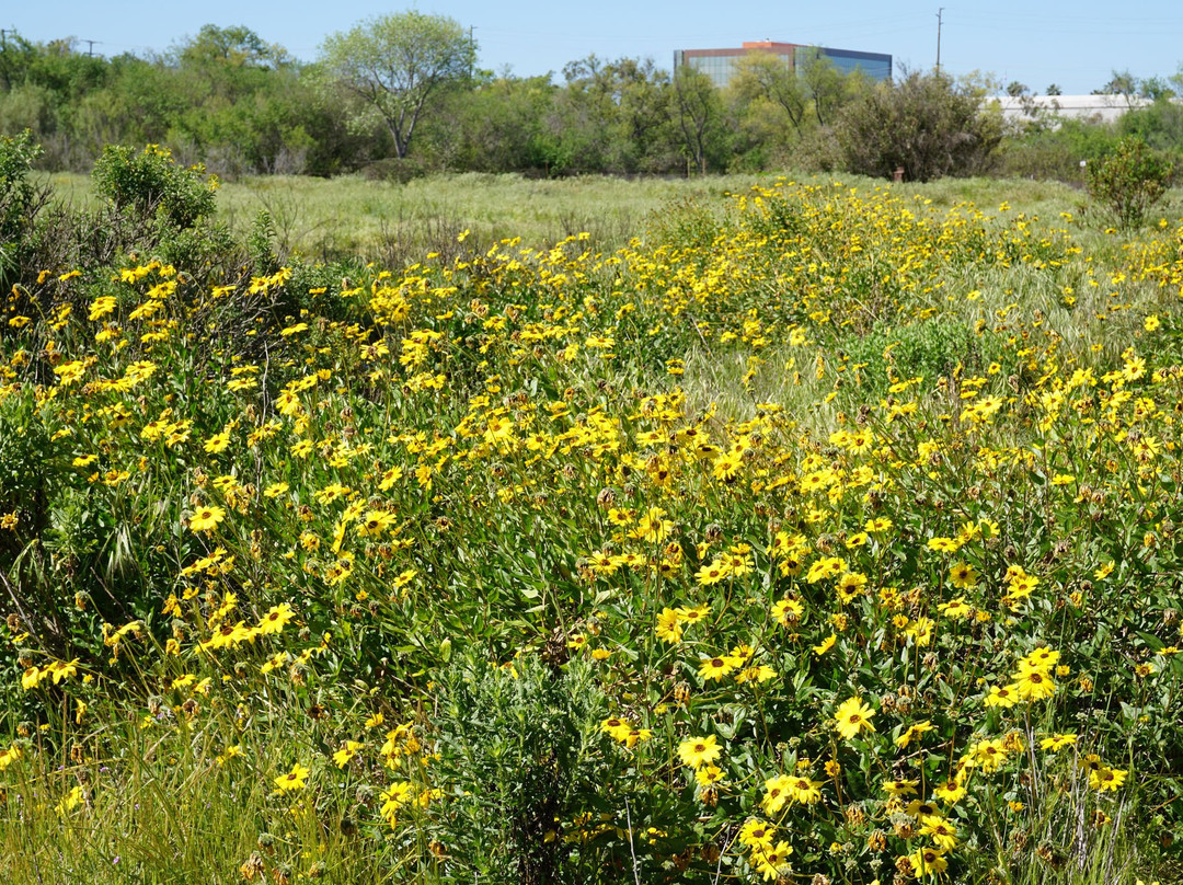 托伦斯旅游攻略图片