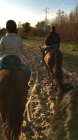 Doñana Dressage景点图片