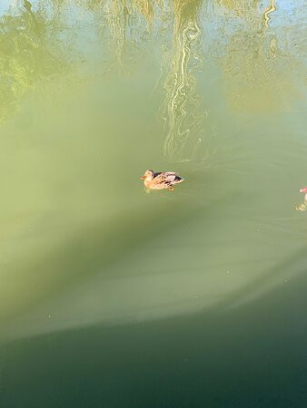 Parque de Cabacera-巴伦西亚必去景点