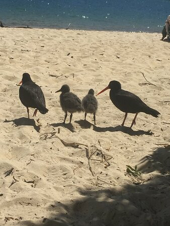 Bay Tours Nelson-尼尔森必去景点