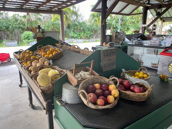 Southern Fresh Farms-迈尔斯堡必去景点