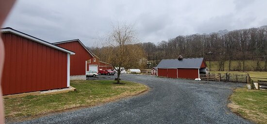 Willow Valley Farm-Glen Arm必去景点