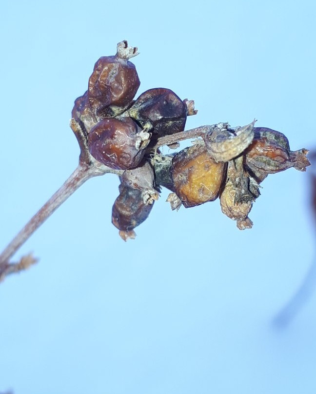 La Barriere Park-La Salle必去景点