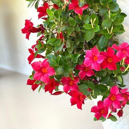 Boutique Hotel Sorgvry - House of Guests主图