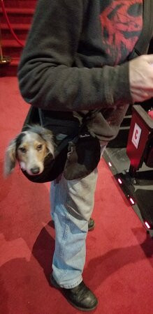 Buttonwillow Civil War Theater-皮金福奇必去景点