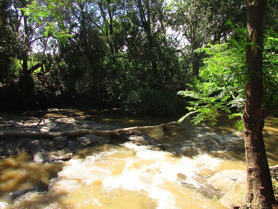 Bushmans Rock Country Lodge主图