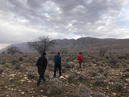 Bahman iran Nomad tour-Shiraz必去景点